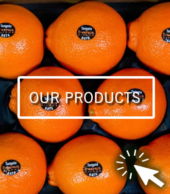 Venus Citrus Products